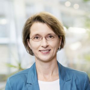 Kennenlernen wedel